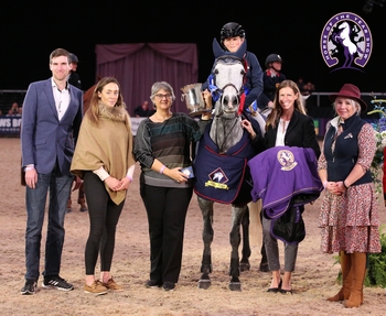 Thomas Bradburne lands the Blue Chip Pony Newcomers Championship at Horse of the Year Show Thomas Bradburne lands the Blue Chip Pony Newcomers Championship at Horse of the Year Show